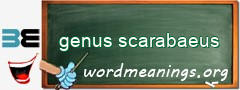 WordMeaning blackboard for genus scarabaeus